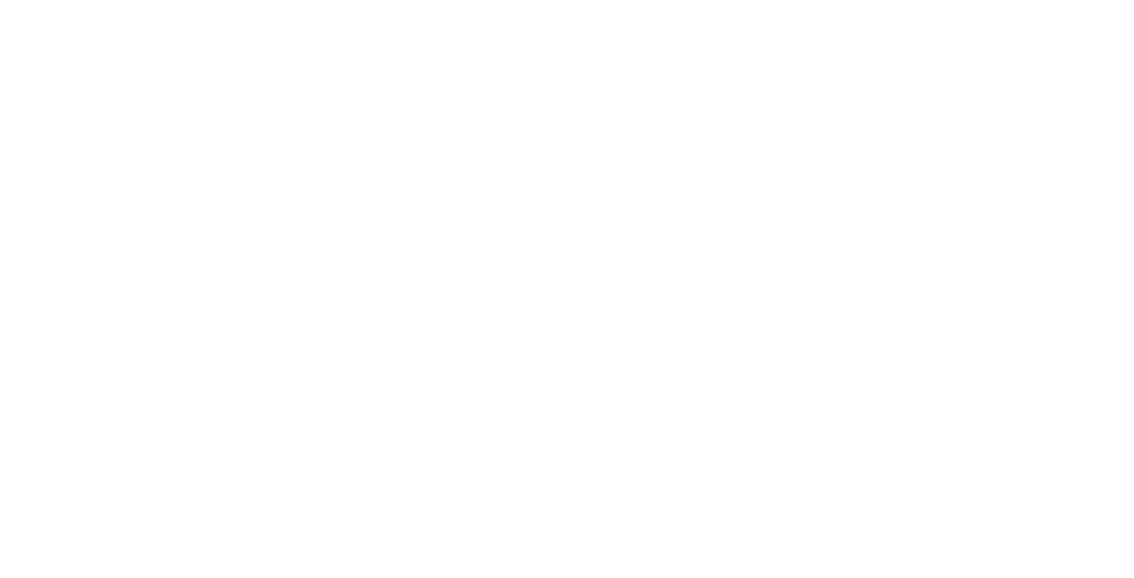 Mishka Group Logo White